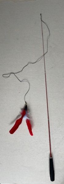 Birdy Cat Toy