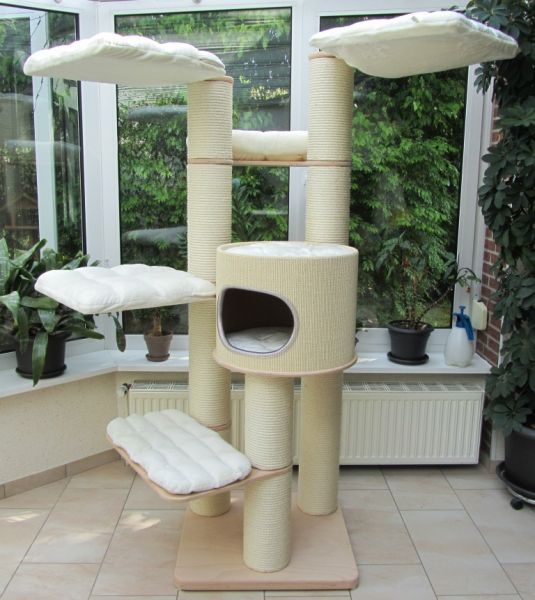 Kratzbaum M1JumboHöhle-04