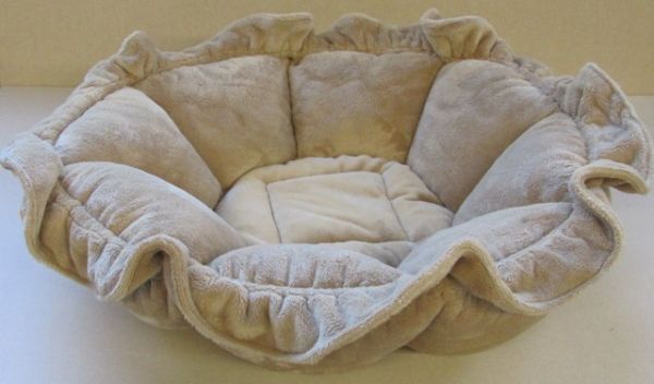 Medusa Bettchen honig